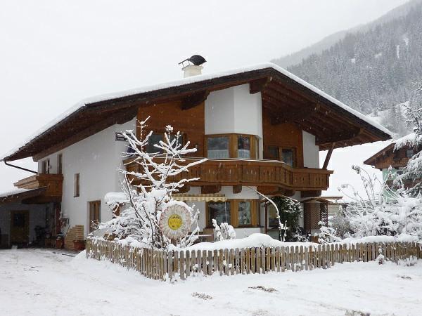 Bild 3 von Haus Bellis