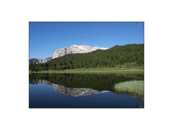 Bild 3 von Hotel-Albergo-Ristorante Al gallo Forcello