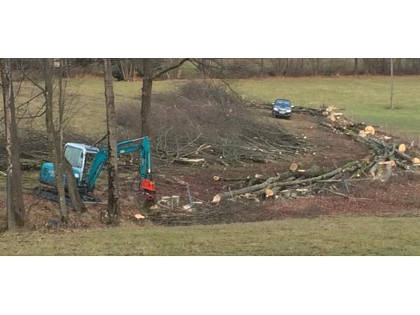 Bild 2 von Kogler Forstarbeiten, Erdbewegung, Winterdienst