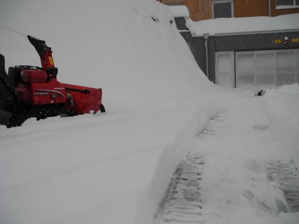 Bild 2 von VM Glanz GmbH