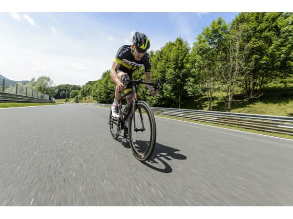 Bild 33 von Friesis Bikery GmbH