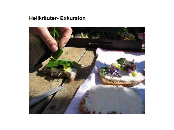 Bild 6 von Dr. med. univ. Petra Zizenbacher