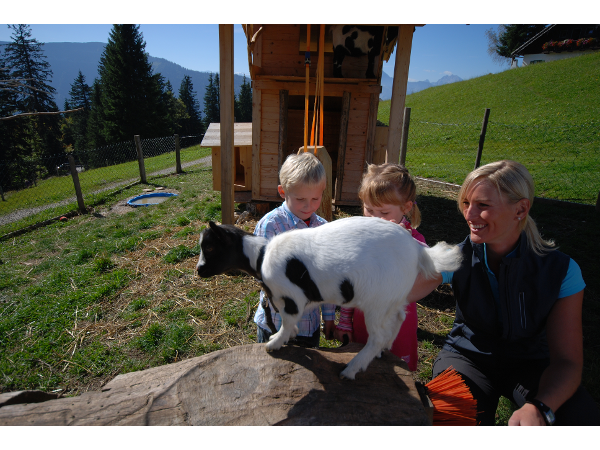 Bild 31 von Reitlhof