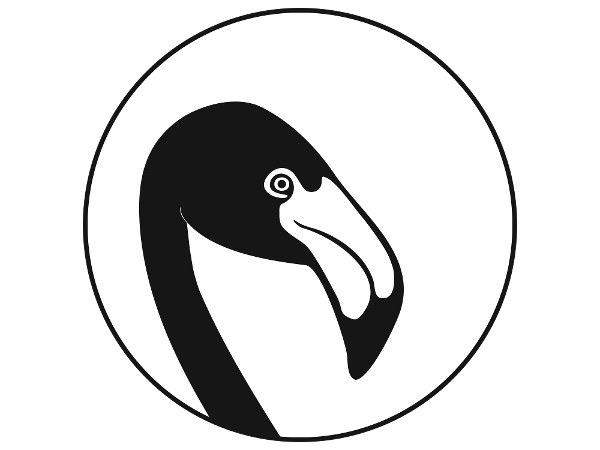 Bild 1 von Flamingo Agency - Content & Strategy e.U.