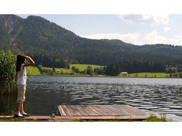 Bild 13 von Pension Schluder