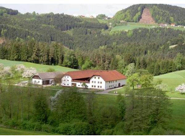Bild 6 von Urlaub am Bauernhof Wenigeder - Herta und Franz Klopf