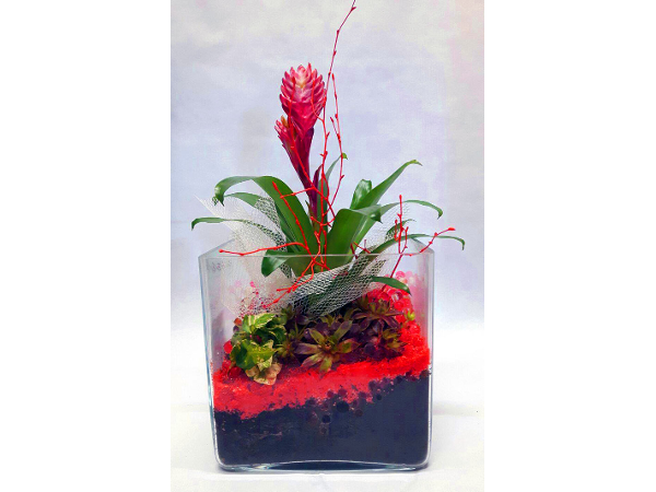 Bild 12 von Blumen Claudia