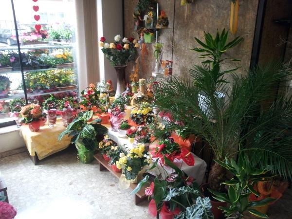 Bild 5 von Blumeninsel Spanblöchel-Wimmer