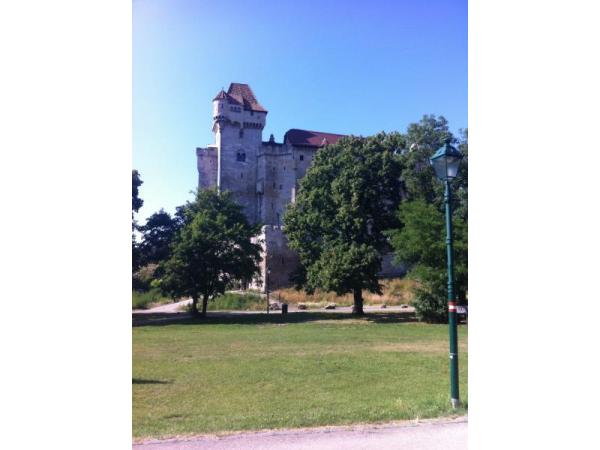 Bild 1 von Burg Liechtenstein