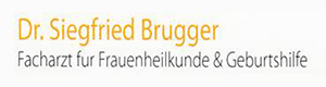 Logo von Brugger Siegfried Dr.