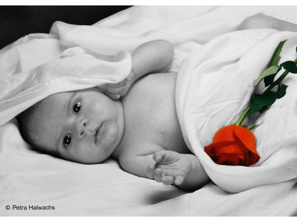 Bild 24 von Fotostudio Petra Halwachs