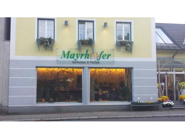 Bild 1 von Blumen Mayrhofer GmbH & Co KG