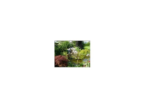 Bild 5 von Garten Gallhammer GmbH - Lust auf Garten