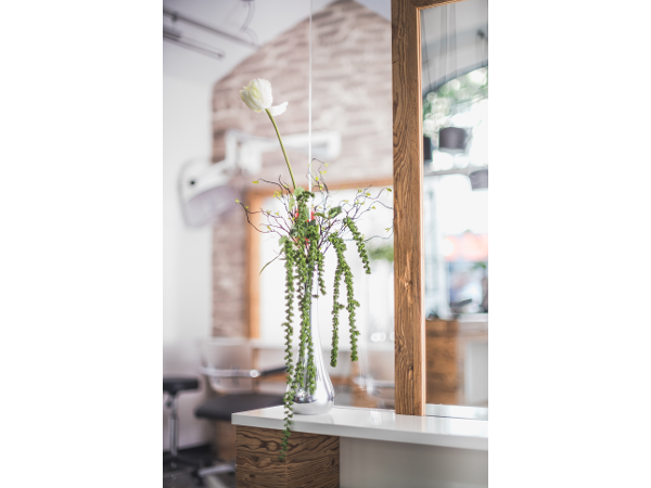 Bild 5 von City Friseur Wels