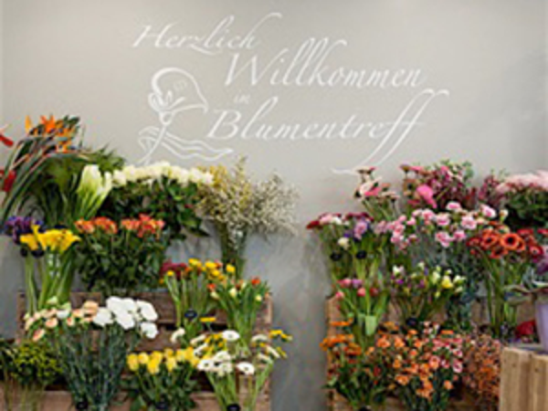 Bild 1 von BLUMENTREFF - Sonja Dragschitz