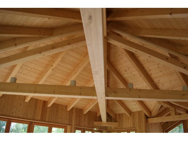 Bild 1 von Tiefenbacher Holzbau GmbH
