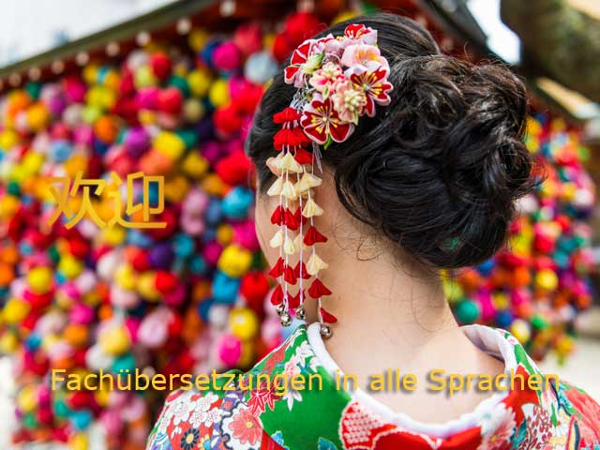 Bild 3 von LanguageLink Sprachdienste GmbH