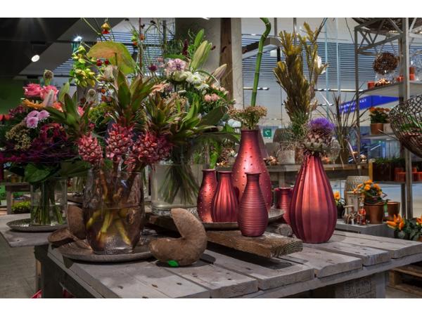 Bild 12 von Blumen im Bahnhof Veronika Schmeikal