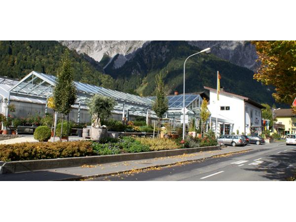 Bild 2 von Blumen Bitschnau