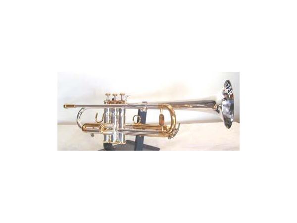 Bild 1 von Musik Hörzer