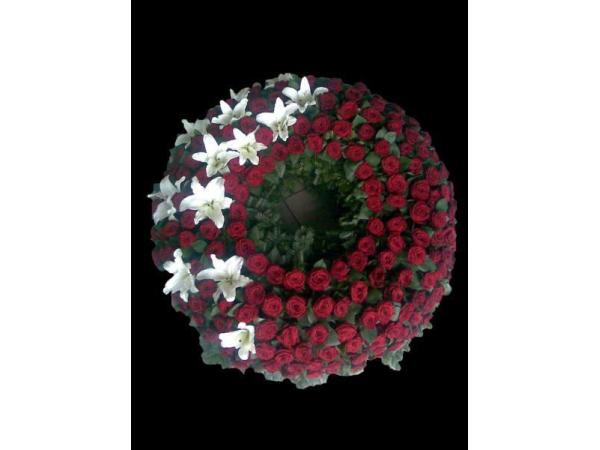 Bild 5 von Blumen Vogler