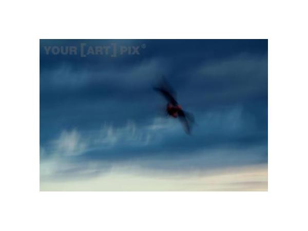 Bild 9 von YOUR[ART]PIX - Katharina Neuwirth