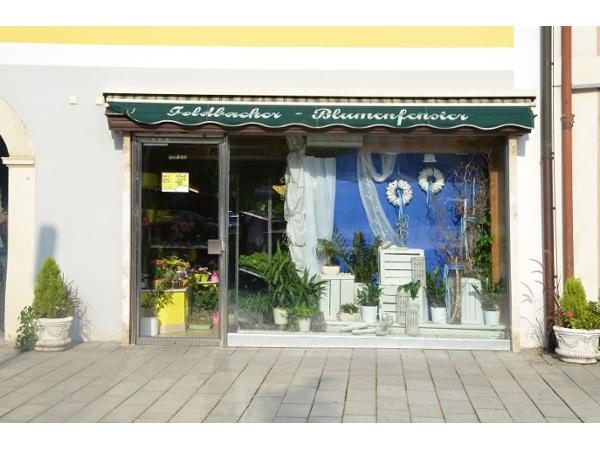 Bild 1 von Blumen Posch