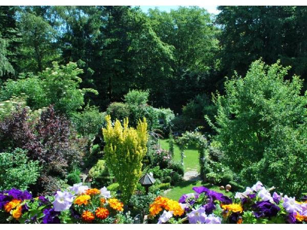 Bild 4 von Gartengestaltung Mag. Roman Fuchs