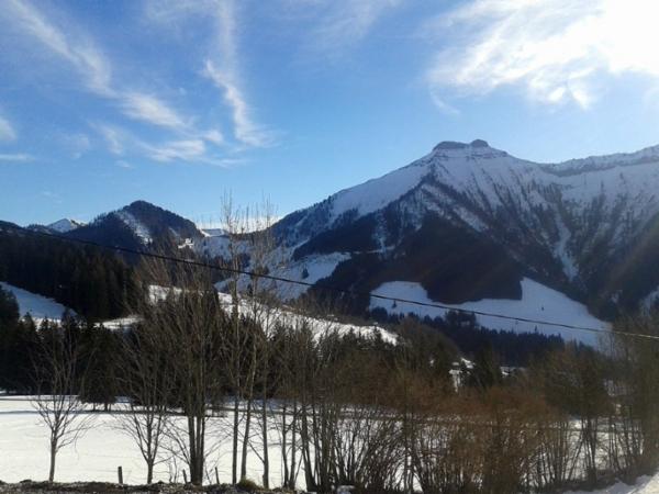 Bild 5 von Reitlhof