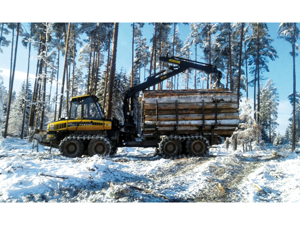 Bild 15 von Holzernte KraWe GmbH & Co KG