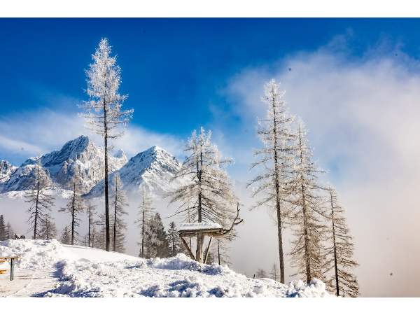 Bild 15 von Bergbahnen Filzmoos GmbH -  Skigebiet filzmoos ski