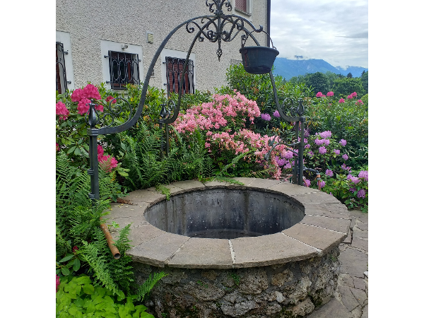 Bild 1 von Jerry Hawkins Gartengestaltung