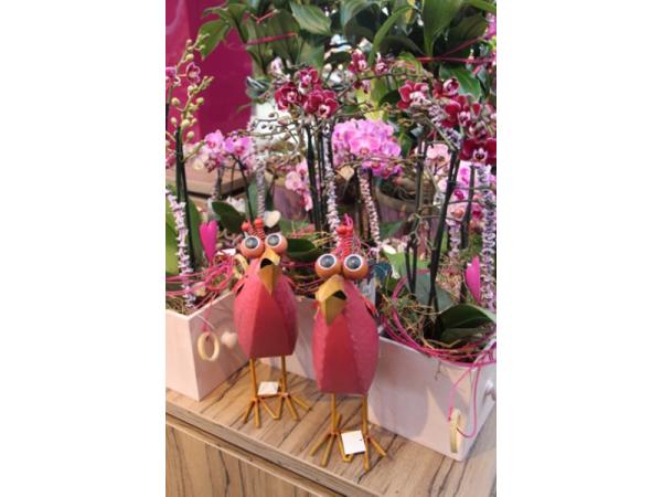 Bild 35 von Gartenbau-Blumen Helmut Friedl