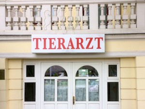 Logo von Dr. Klaus Müller-Tierarztpraxis Langenzersdorf