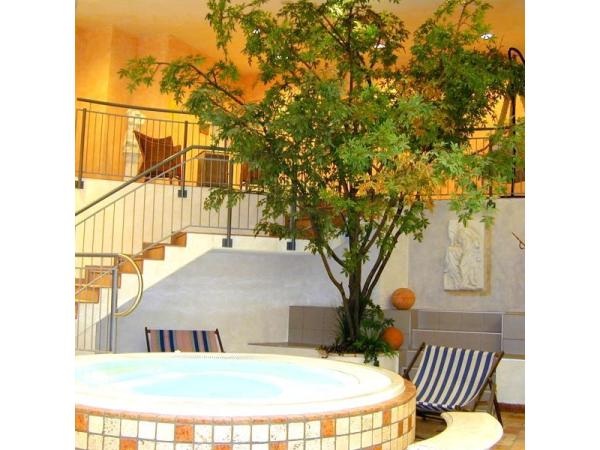 Bild 24 von Tree Design Christian Harb