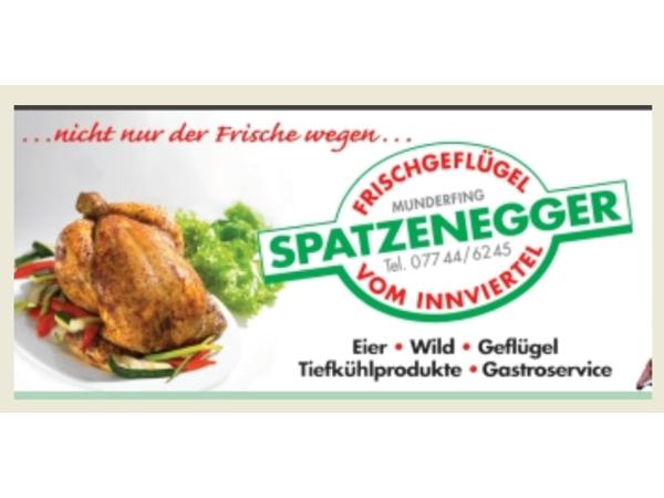 Bild 1 von Franz Spatzenegger