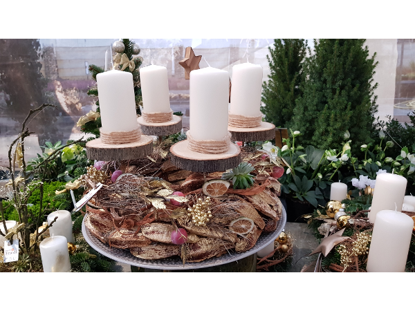 Bild 91 von Gartenbau-Blumen Helmut Friedl