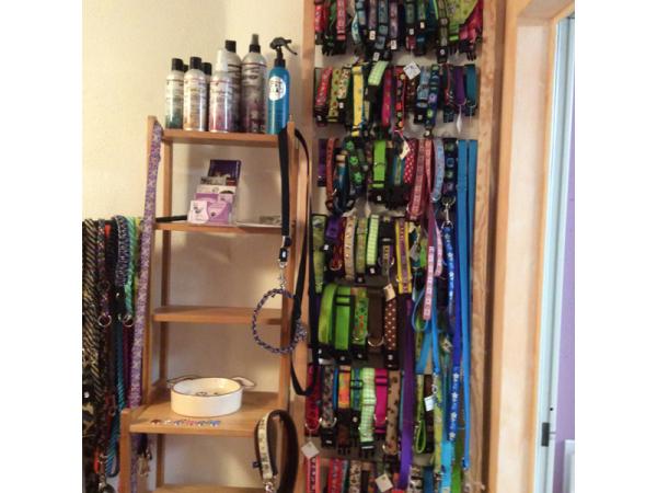 Bild 15 von Hundefriseur Andrea Oppacher in Pinzgau