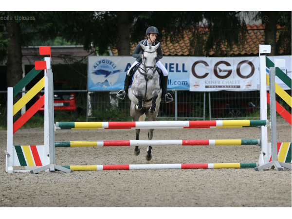Bild 2 von Reitstall Seehof