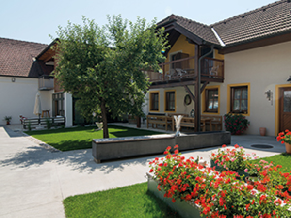 Bild 10 von Weingut Edlinger