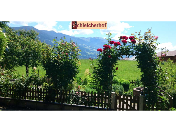 Bild 1 von Vitalhof - Schleicherhof