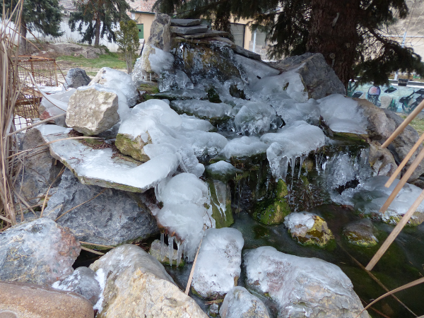 Bild 8 von Teichcenter Wittau