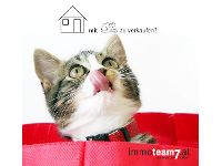 immoteam7 ITS GmbH