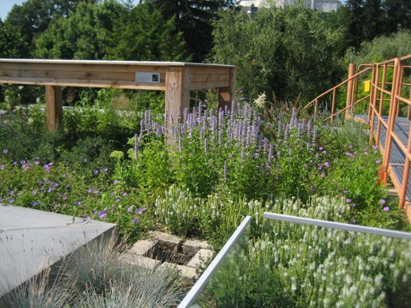 Bild 12 von Blumen und Garten Veronika Schmeikal OG