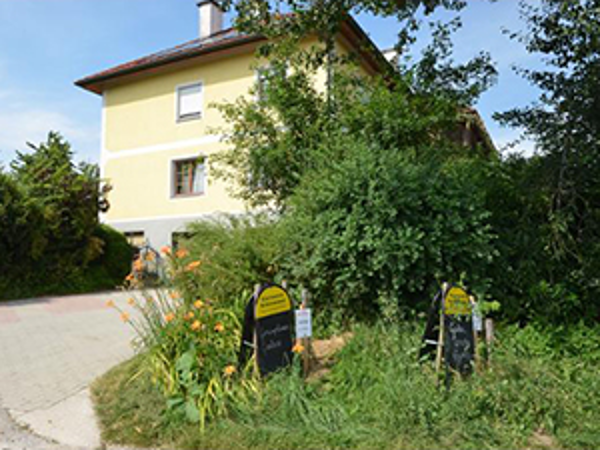 Bild 2 von Blumen Franz Schlemmer