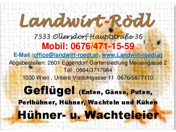Bild 1 von Landwirt Rödl