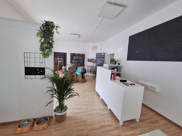 Bild 2 von Hund's-wüd Grooming & Shop