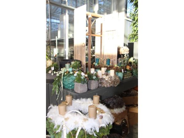 Bild 13 von Gartenbau-Blumen Helmut Friedl