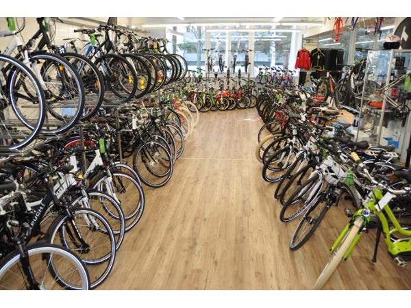 Bild 17 von Catenasport Ges.m.b.H