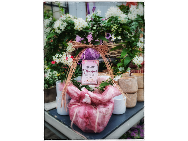 Bild 253 von Gartenbau-Blumen Helmut Friedl
